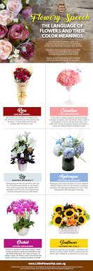 12 flowers with hidden meanings. The Language Of Flowers And Their Color Meanings Flower Delivery Singapore