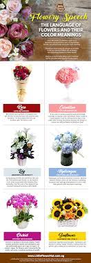 These plants imply true love, and just as the name implies, they are given in the hope they (or the sender) will never be forgotten. The Language Of Flowers And Their Color Meanings Flower Delivery Singapore