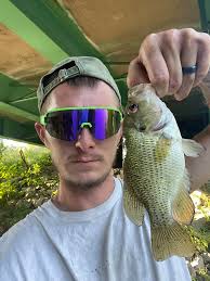 Practice buddy: 170 lb dog