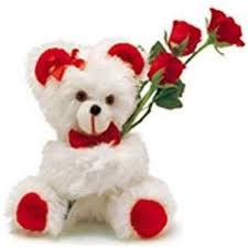 Green color is a sign of growth, freshness and energy. Teddy Day 10 February One World News