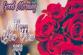 Here You Can Download Good Morning Happy New Year 2020 Images Photos For Whatsapp Status Whatsapp In 2020 Good Morning Flowers Cover Pics For Facebook New Year 2020