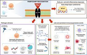 Recessed lighting installation necrotizing myopathy ivig treatment. Best Practice Igm And Iga Enriched Immunoglobulin Use In Patients With Sepsis Annals Of Intensive Care Full Text