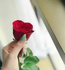 We did not find results for: 250 Flower Dpz Ideas Girly Pictures Hand Photography Girly Dp