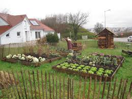 Vegetables that little hands can help open are fun like peas, shell beans and edamame. Kitchen Garden Wikipedia