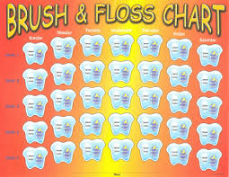 56 Genuine Childrens Dental Chart