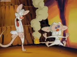 These pinky and the brain quotes are cynical yet comical. 11 Secrets You Never Knew About Animaniacs Pinky The Brain And Freakazoid Mtv