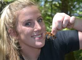 Students document reptiles, amphibians found locally