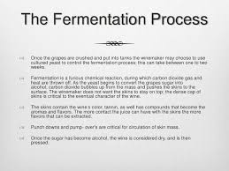 The Process Of Making Wine And Champagne