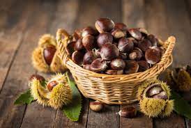 Le castagne al forno sono un modo alternativo alle caldarroste per cuocere questo delizioso frutto autunnale. Castagne Proprieta Usi E Come Cucinarle Per Valorizzarne Tutti I Benefici A N A P A Ca O D V
