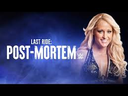 This is not a cuckolding sub. Michelle Mccool Reveals What She Texted Aj Styles Wife When He Targeted Her In Scathing Promo
