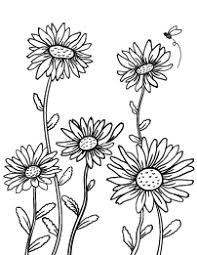 Daisies are such happy flowers. Free Flower Coloring Pages