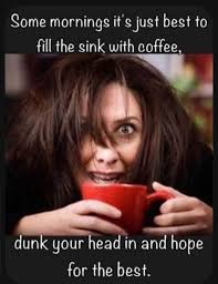 Sweet Memes Are Made Of Geese