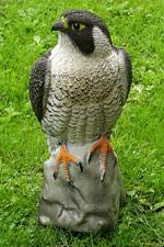 Check spelling or type a new query. Buy Replica Falcon And Bird Of Prey Decoys Fake Plastic Hawk Bird Repeller