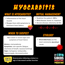 Image result for Myocarditis