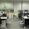 In these cases, employers have responsibilities and obligations to the employees usually associated with the termination of employment. 1