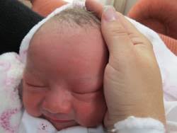 Daniela Picado Campos