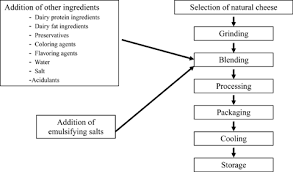 process cheese scientific and technological aspects a