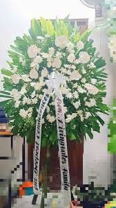 We did not find results for: P8f1524yapbvym