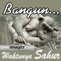 19 Gambar Lucu Makan Sahur Kumpulan Gambar Lucu