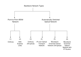 The vertebral column houses the spinal canal, a cavity that. 2 Backbone Network Types Download Scientific Diagram