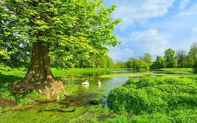 We did not find results for: á¦ Cele Mai Frumoase Peisaje á¦ JoacÄ Gratuit Jigsaw Puzzle La Puzzle Factory
