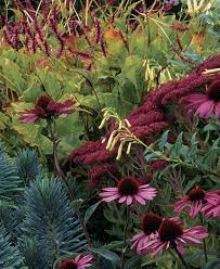 Planting flowers that interest butterflies is easy! Fall Fireworks Finegardening Autumn Garden Sedum Autumn Joy Autumn Joy Sedum