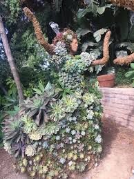 Glad i visited as the gardens are so interesting and have such a variety. I Spent The Afternoon At The San Diego Botanic Garden It Is A Succulent Paradise Succulents
