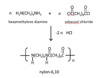 Nylon 6/10: Everything you need to know