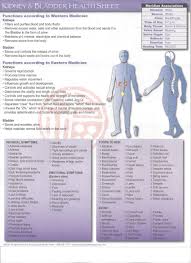 Health Sheet For Kidney Bladder Http Infinityflexibility Com Wp Massage Benefits Chinese Medicine Tcm Traditional Chinese Medicine