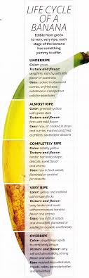 Banana Life Cycle Source Coastal Living Magazine Eating Bananas Food Charts Whole Food Recipes