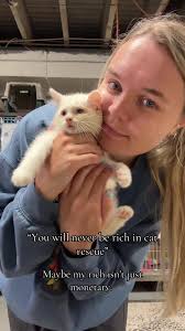 Understanding the True Wealth of Cat Rescue