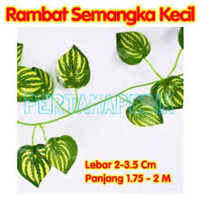 Maybe you would like to learn more about one of these? Jual Produk Jenis Daun Semangka Termurah Dan Terlengkap Agustus 2021 Bukalapak