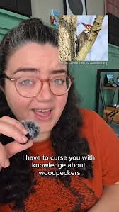 NEW EPISODE! Join Ellen & evolutionary morphologist Dr. Kassandra Ford as  we get amped up about electric fishes. We discuss fish who use electricity  to make mind maps, sabotage each other by