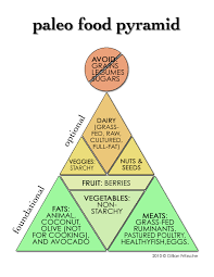 What Would A Paleo Food Pyramid Look Like