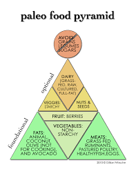 what would a paleo food pyramid look like