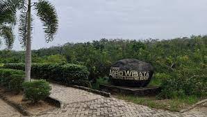 Taman agrowisata pulung kencana tulang bawang barat dibangun dengan tujuan . Tubaba Punya Taman Kura Kura Taman Agrowisata Akan Segera Direnovasi News Lampung Terkini