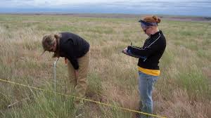 B.c.'s private and crown rangelands span the province and encompass ecosystems including alpine, subalpine, community pastures, forestlands (logged or not), grasslands, parklands, shrub lands, riparian areas (wetland and riverine). Rangeland Management U S Department Of The Interior