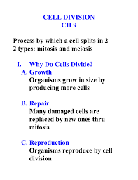 Check spelling or type a new query. Cell Division