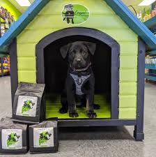 Camden county animal shelter list of employees: Loyal Biscuit Fenway Fund Now Accepting Grant Applications Penbay Pilot