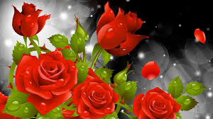 Red Rose Wallpapers Red Flowers Hd Pictures One Hd Wallpaper 1920 1080 Red Rose Pics Wall Rose Flower Wallpaper Wallpaper Nature Flowers Red Flower Wallpaper