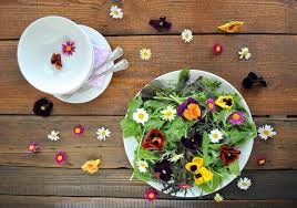 See more of susun atur sioca on facebook. 11 Daftar Edible Flowers Bunga Yang Bisa Dimakan Bibit Online