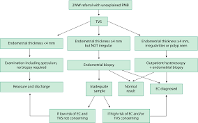 Cancer of the uterus is also known as endometrial cancer. Detecting Endometrial Cancer Jones 2021 The Obstetrician Amp Gynaecologist Wiley Online Library
