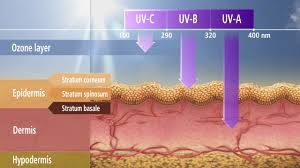 After all, genetic testing is now used find a person's risk for many diseases. Non Melanoma Skin Cancer Animation Cast Pharma