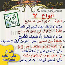 pin by amy on شعر عربي arabic poetry learn arabic language arabic language teach arabic