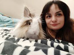 Pug had a rough day and lost teeth