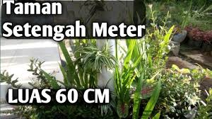 Jangan putus asa kalau tidak tersedia banyak lahan dalam menata taman depan rumah. Desain Taman Untuk Lahan Sempit Mini Taman Youtube