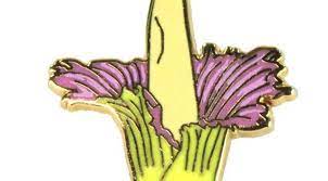 Corpse Flower Pin Etsy In 2021