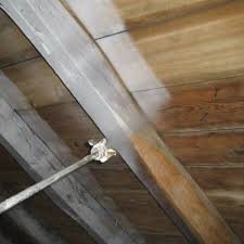 Check spelling or type a new query. Gel Curatif Bois Gel Protection Insecticide Gel Traitement Bois Adkalis