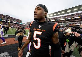 Bengals franchise wide receiver Tee Higgins 'requests a trade' after being  left 'disappointed' in Cincinnati over the lack of talks about a long-term  contract extension | Daily Mail Online