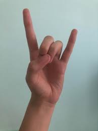 Can someone tell me what this sign means? I don't know ASL but I was  watching a video about it and am curious : r/asl